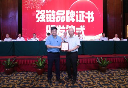 登榜！ng电子游戏入选首批船舶工业“强链品牌”